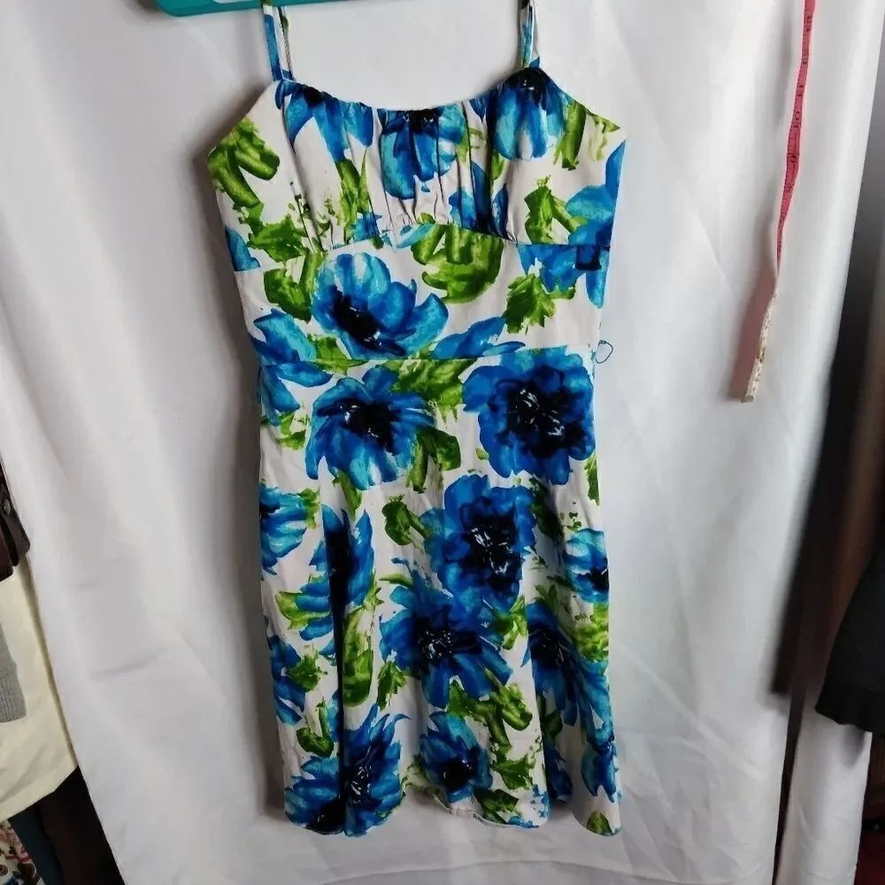 Allyn Paige dress 